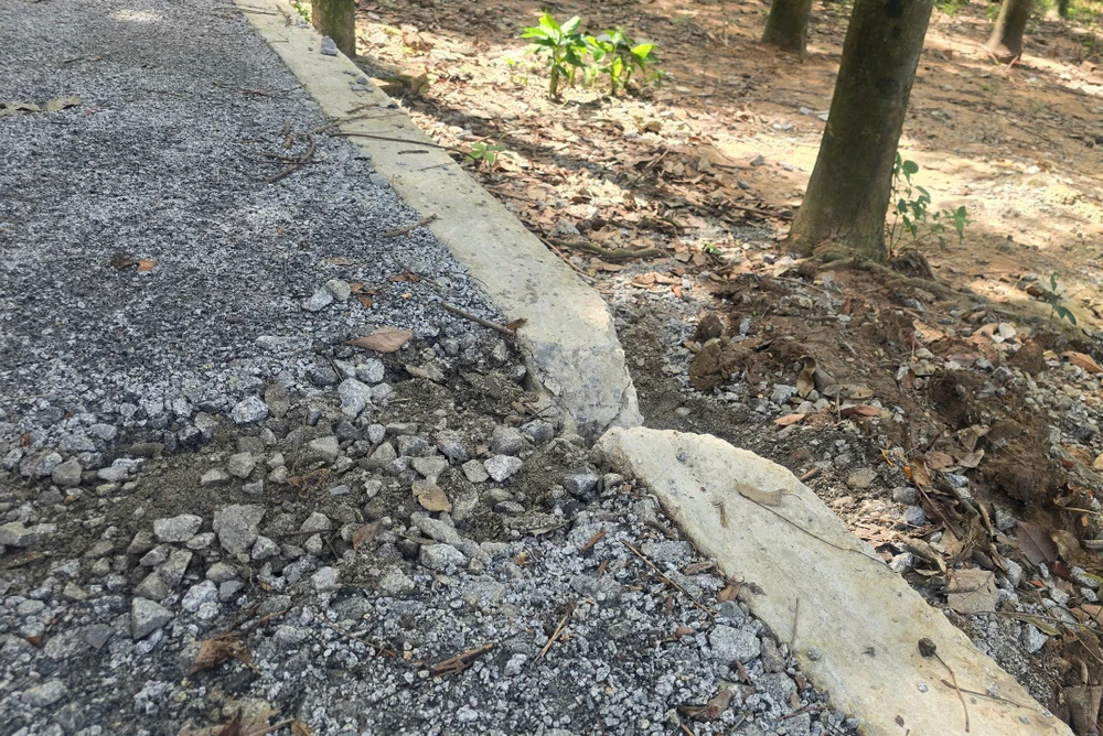 thời điểm sáp nhập (3).jpg