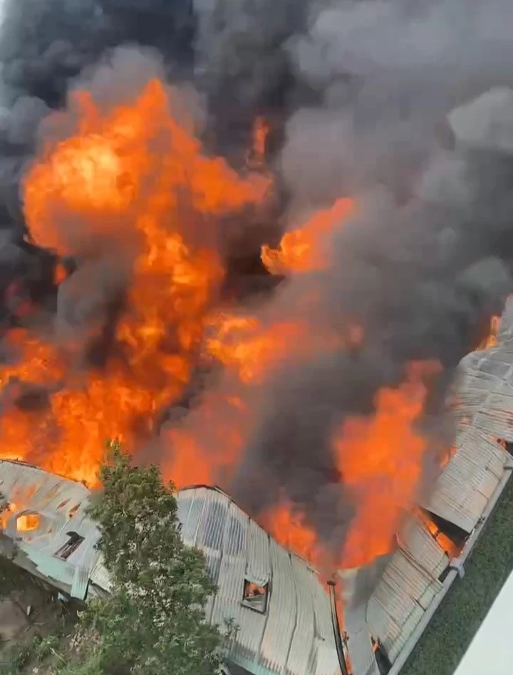 một công ty (1).jpg