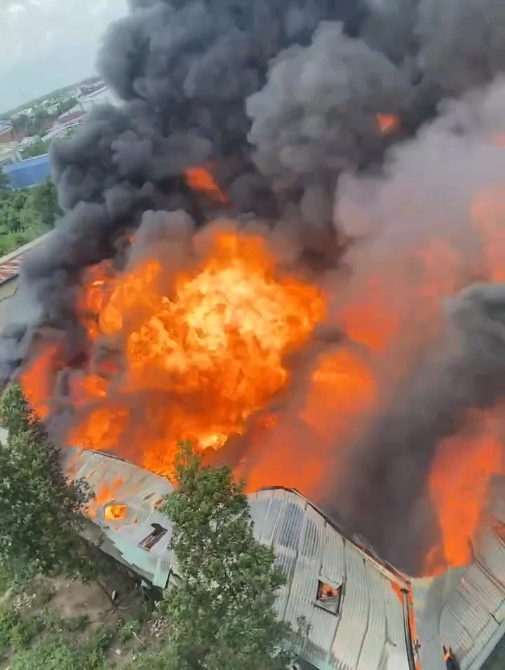 một công ty (1)..jpg