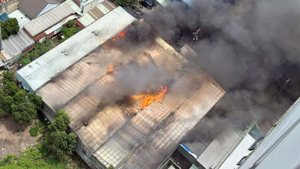 một công ty (2).jpg