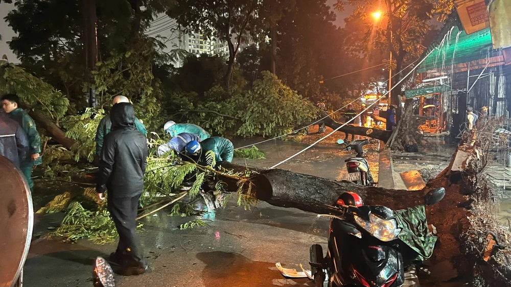 hai bà cháu (2).jpg