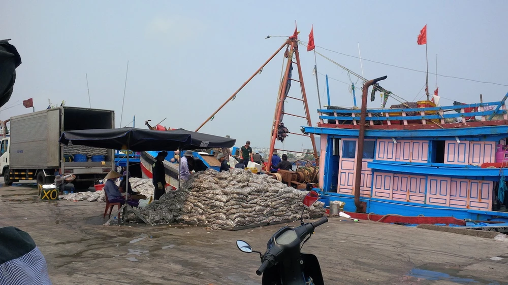 Đà Nẵng: Tổng kiểm tra mẫu cá tại tất cả các kho lạnh ảnh 1