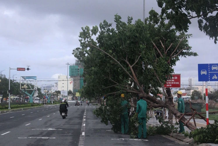 Đà Nẵng: Yêu cầu dọn sạch TP trong vòng một ngày sau bão ảnh 1