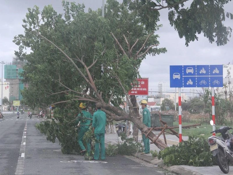 Công nhân cây xanh khắc phục sự cố cây gãy đổ sau bão
