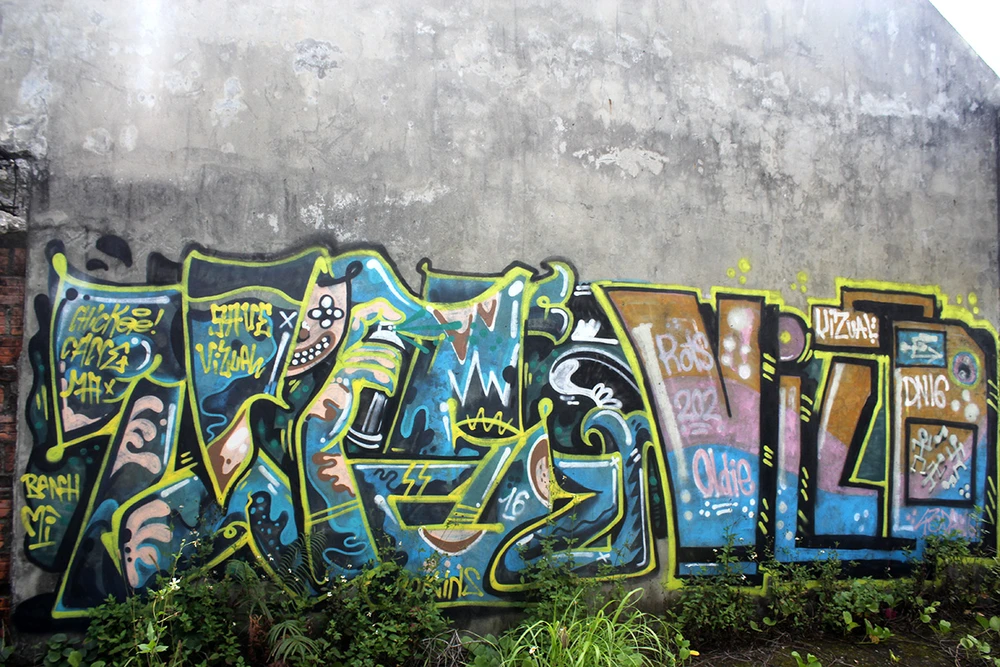 Hàng chục biệt thự cực đẹp bị bỏ hoang tại Sơn Trà ảnh 3 Hàng chục biệt thự cực đẹp bị bỏ hoang tại Sơn Trà ảnh 3