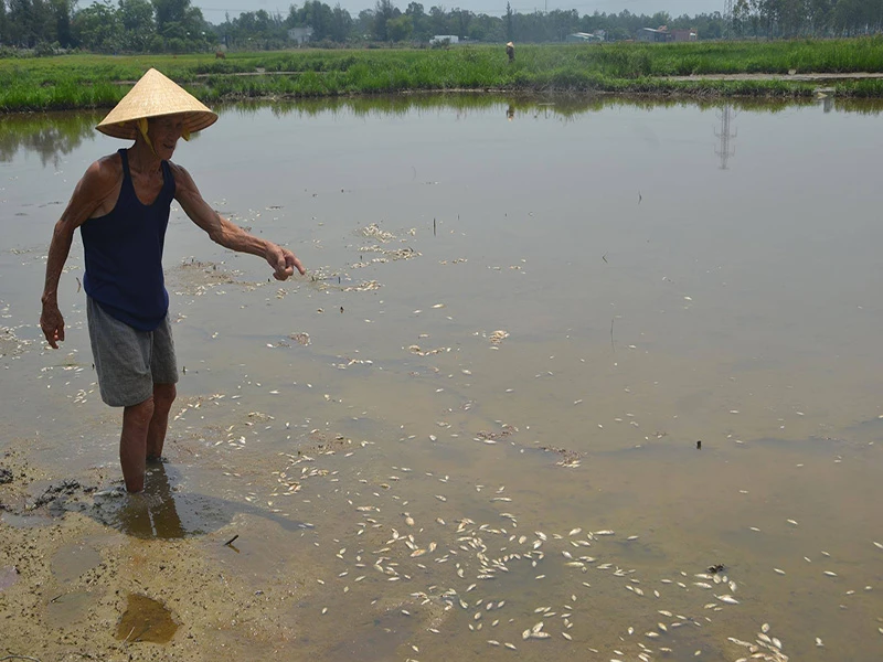 Nhà máy kẽm xả thải trái phép vượt gấp 1,5 lần ảnh 1