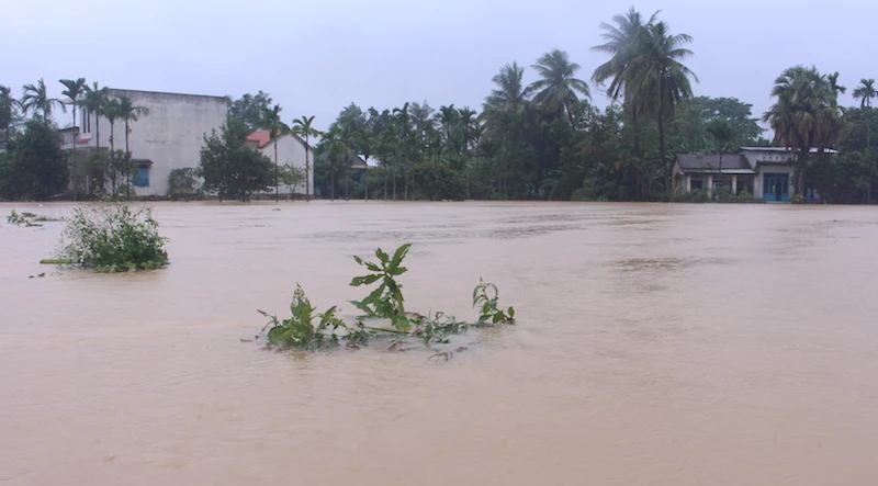 Đà Nẵng lũ đang nhấn chìm hơn 2.500 nhà dân ảnh 2