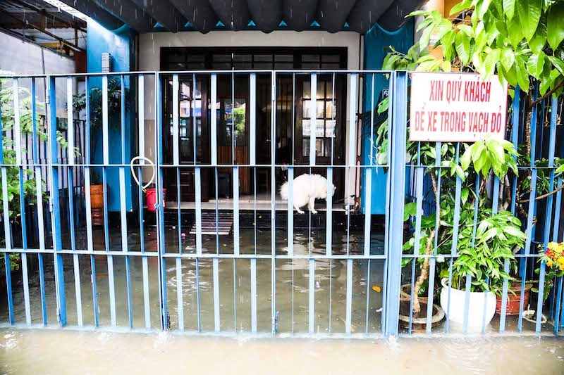 Chùm ảnh: Khách Tây bì bõm lội nước ở Hội An ảnh 12