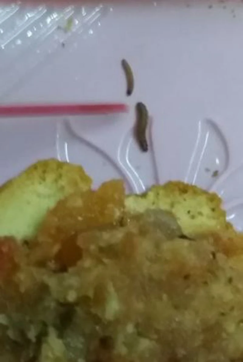 Kháng cáo vụ đăng con dòi trong bánh Trung thu lên mạng