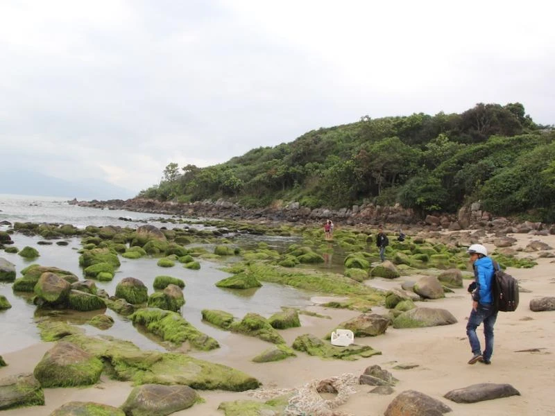 Báo cáo Thường trực Thành ủy Đà Nẵng về Nam Ô ảnh 1