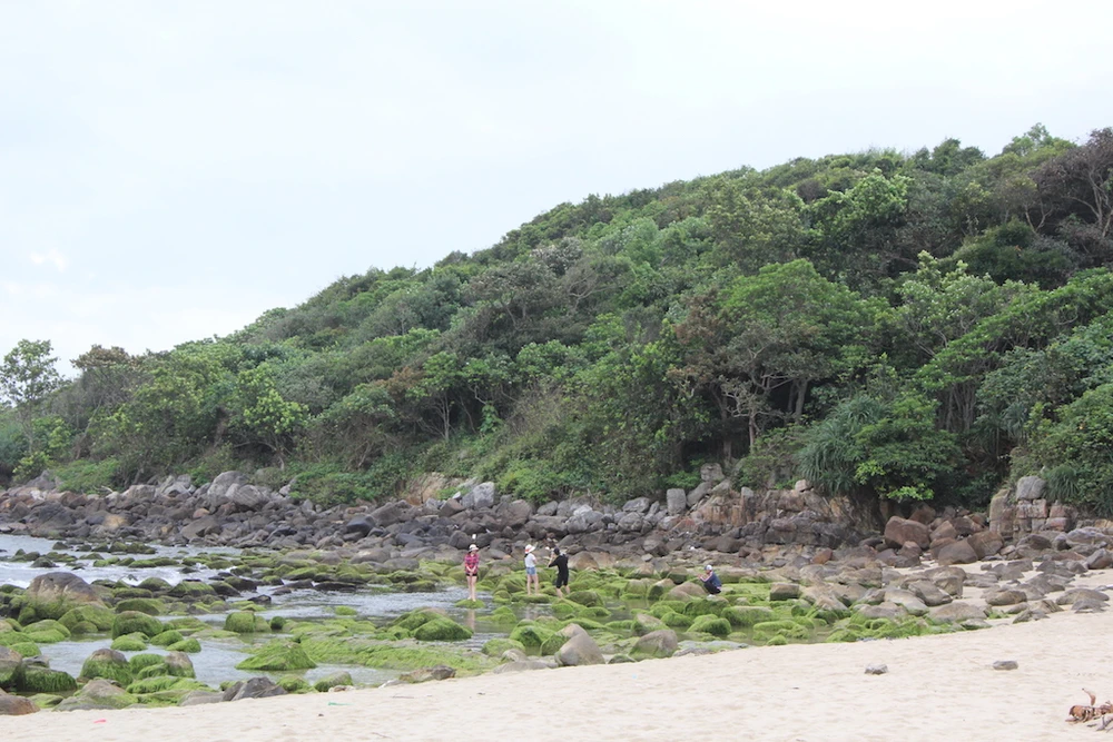 Báo cáo Thường trực Thành ủy Đà Nẵng về Nam Ô ảnh 2 Báo cáo Thường trực Thành ủy Đà Nẵng về Nam Ô ảnh 2