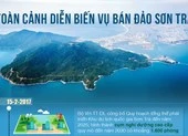 Vì sao thanh tra toàn diện các dự án Sơn Trà?