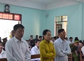 Hai vợ chồng phá rừng phòng hộ hầu tòa