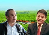 Đại gia ô tô Thaco tìm 'tướng' kinh doanh trái cây cho bầu Đức
