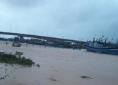 Nhiều tàu bị nước cuốn, thuyền viên mất liên lạc