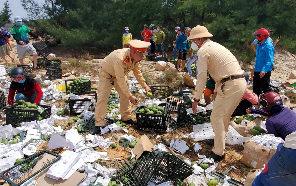 Đoàn thanh niên Phòng CSGT Quảng Bình hỗ trợ tài xế gặp nạn thu gom số xoài bị tràn ra bên đường sau vụ tai nạn.