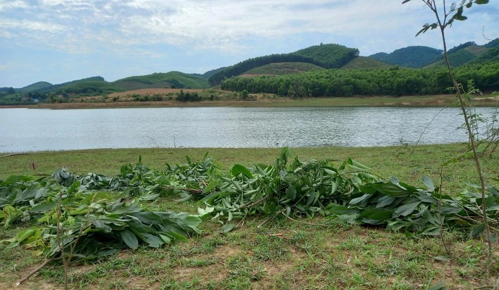 Hồ Khe Su, nơi hai anh em Hiếu và Hiệp đuối nước. Ảnh: người dân cung cấp. Hồ Khe Su, nơi hai anh em Hiếu và Hiệp đuối nước. Ảnh: người dân cung cấp.