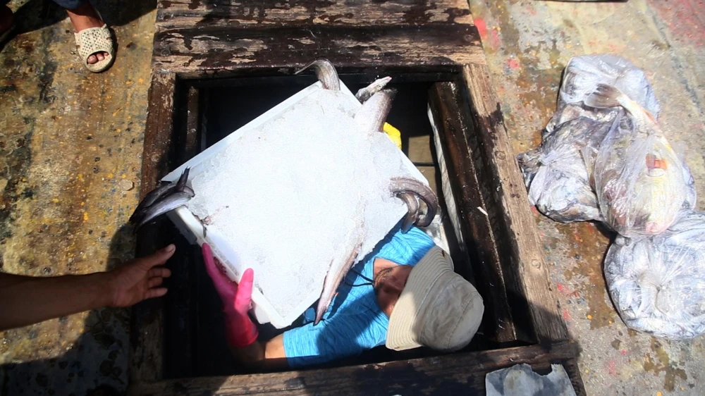 Ngư dân đối diện với "bão giá" xăng dầu tăng với nỗi lo thua lỗ khi ra khơi. Ảnh: NGÔ QUANG.