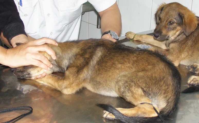 Ảnh minh hoạ. Ảnh: TRẦN NGỌC Ảnh minh hoạ. Ảnh: TRẦN NGỌC