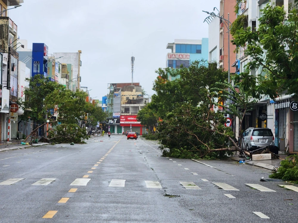 Cây xanh đổ rạp trên đường. Ảnh: TẤN VIỆT.