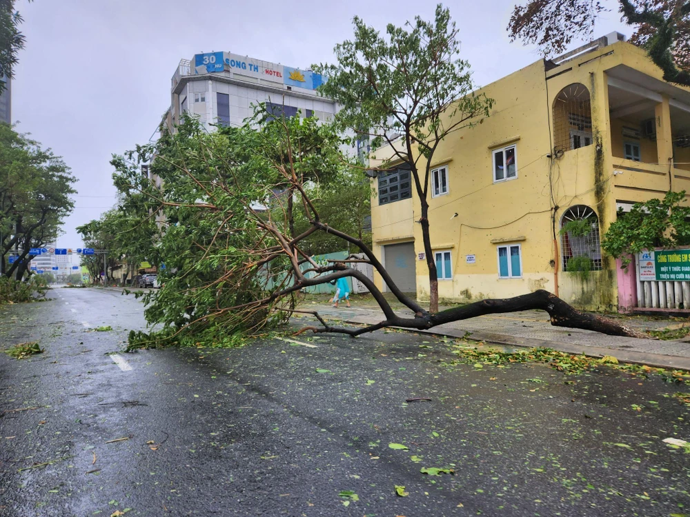 Cây ngã la liệt trong phố. Ảnh: TẤN VIỆT.