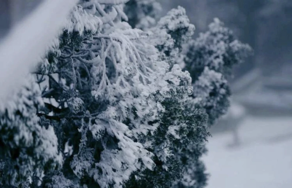 Rét hại ở miền Bắc