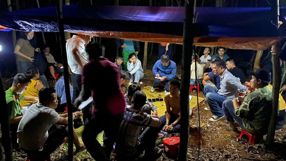 đánh bạc giữa rừng tràm