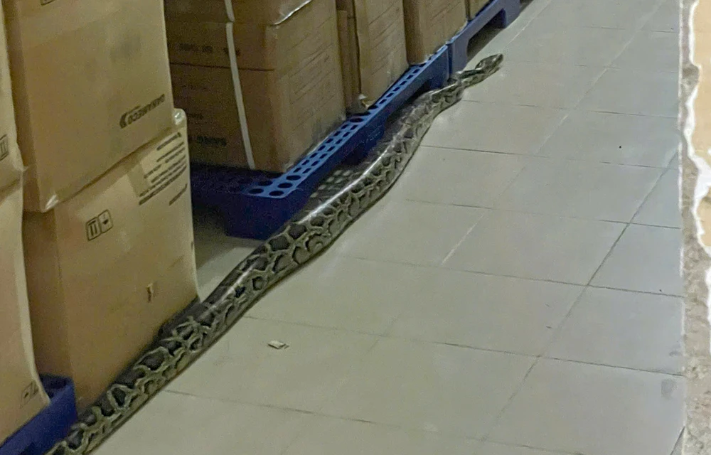 Bệnh viện tỉnh Khánh Hòa