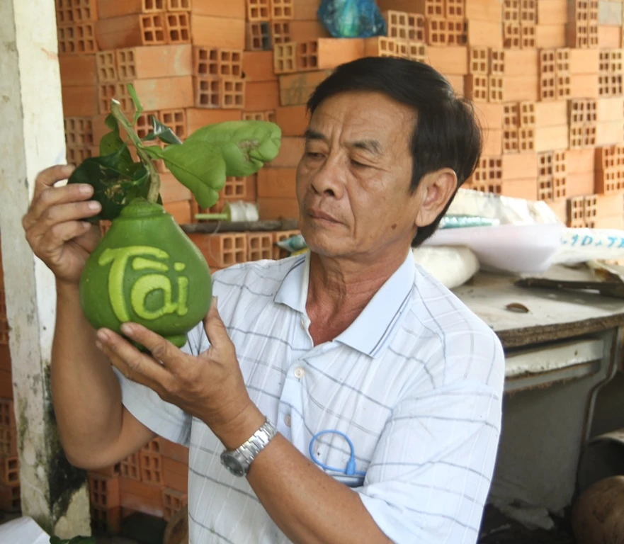 Ông Thành và bưởi hồ lô tạo hình Tài - Lộc thư pháp