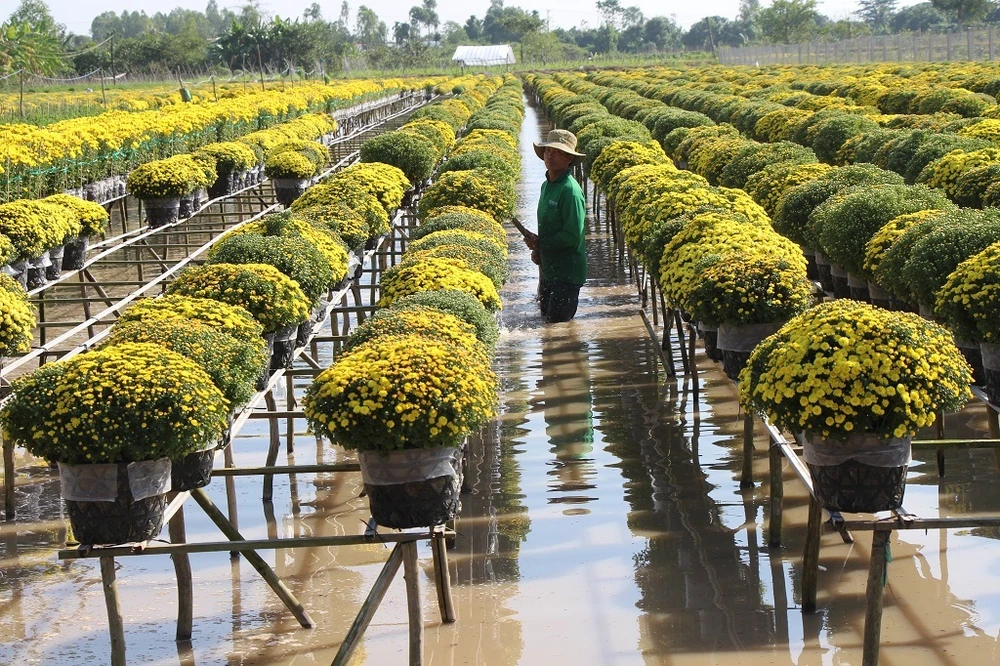 Du khách ồ ạt đổ về làng hoa Sa Đéc ngày cận Tết ảnh 20