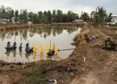 Suýt mất tinh hoàn vì máy sục khí ao tôm