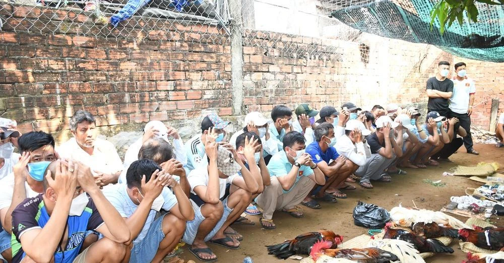 44 người bị bắt quả tang đang đá gà ăn tiền. Ảnn: CACC