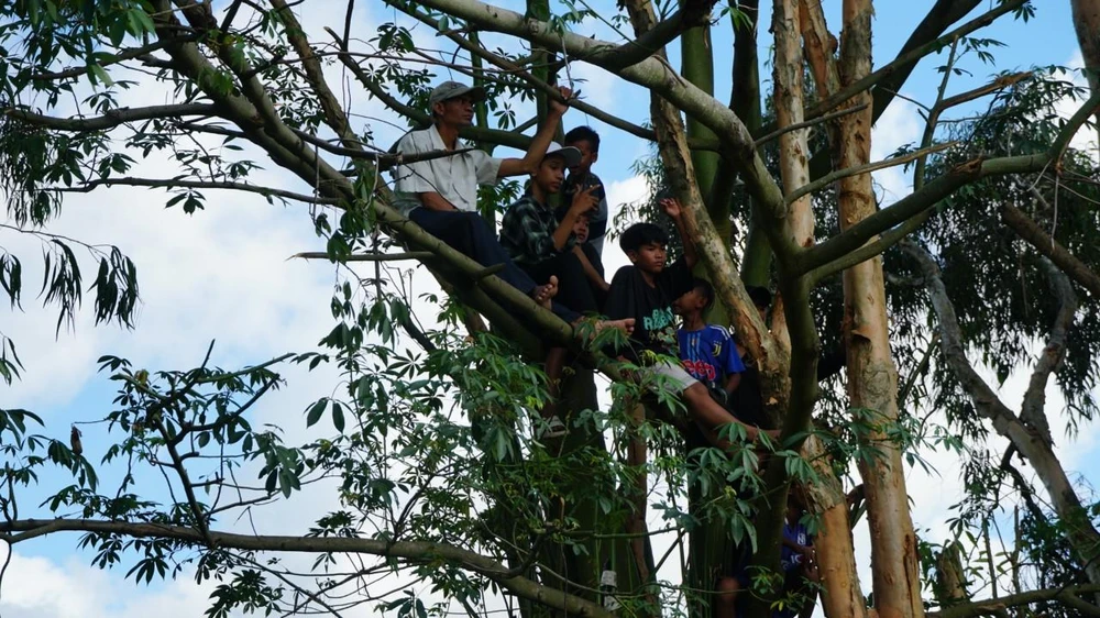 Khu vực sân đua chật kín, một số người trèo lên cây để xem từ xa