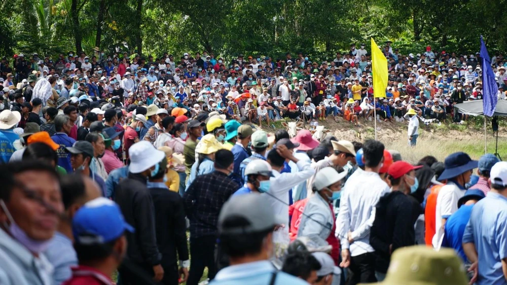 Đông nghẹt du khách và người dân địa phương đến xem Hội đua bò Bảy Núi tranh cúp Cúp truyền hình An Giang lần thứ 27-2022