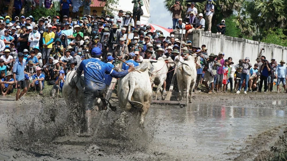 Nài thúc đôi bò chạy
