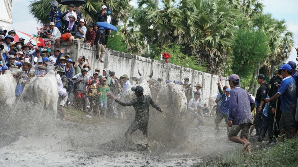 Đường đua đầy sôi động