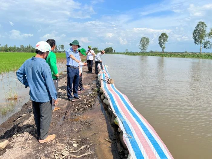 Chủ tịch Đồng Tháp, ông Phạm Thiện Nghĩa khảo sát tại đoạn đê ở huyện Tháp Mười có nguy cơ nước sông tràn vào. Ảnh: Gia Vi