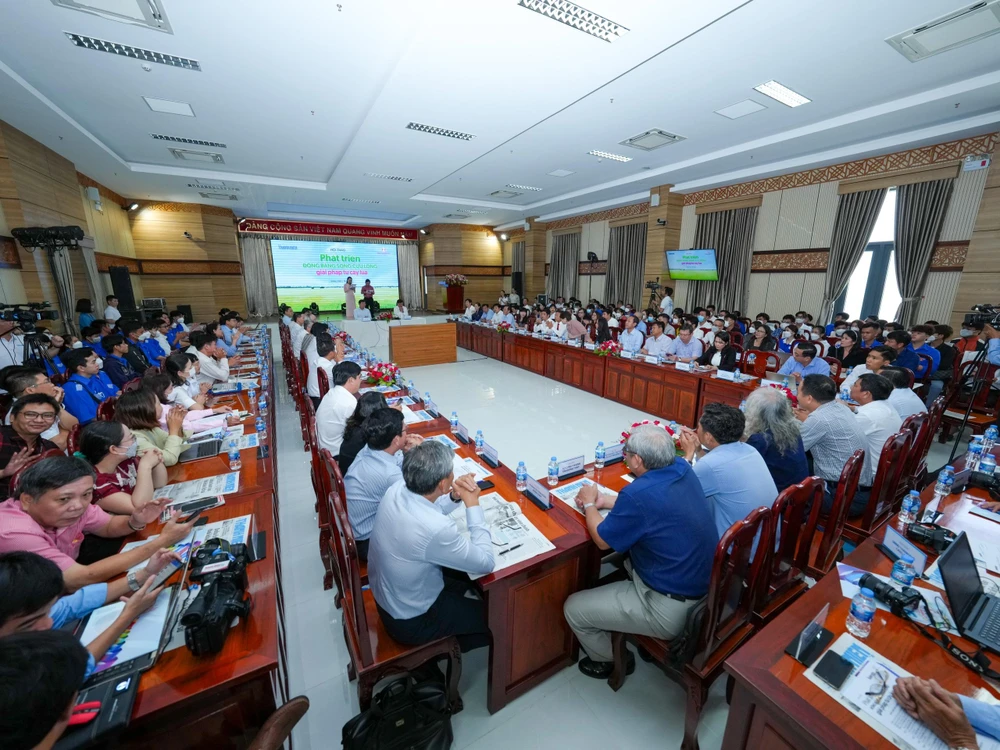 phát triển đbscl giải pháp từ cây lúa