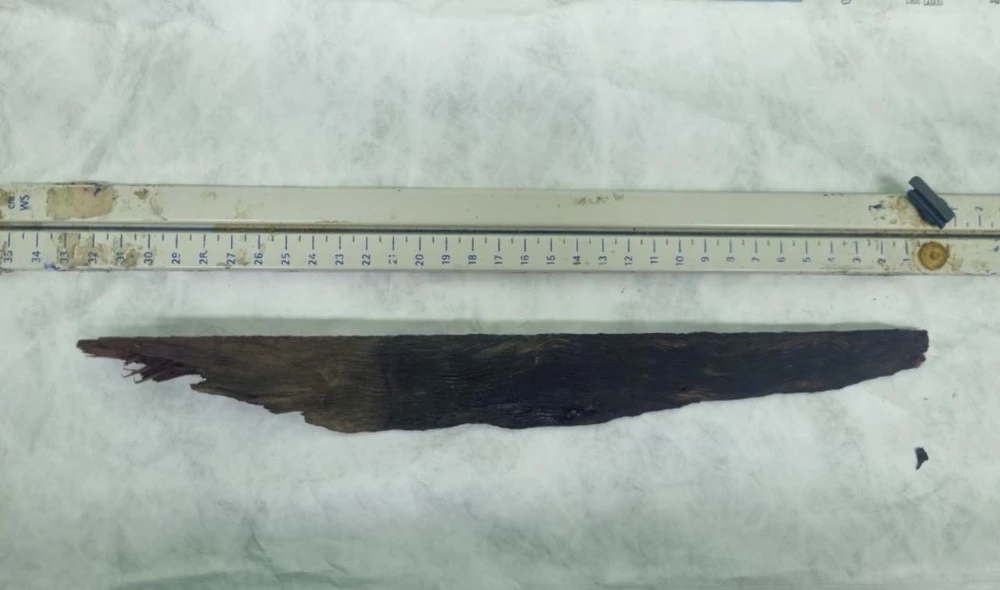 cọc gỗ đâm thấu ngực