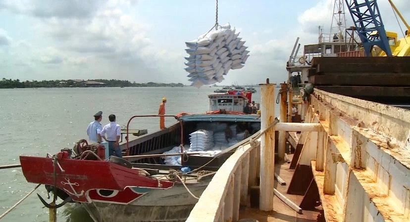 vận chuyển hàng cảng mỹ thới