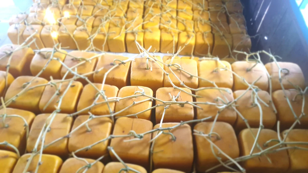 dưa hấu thỏi vàng