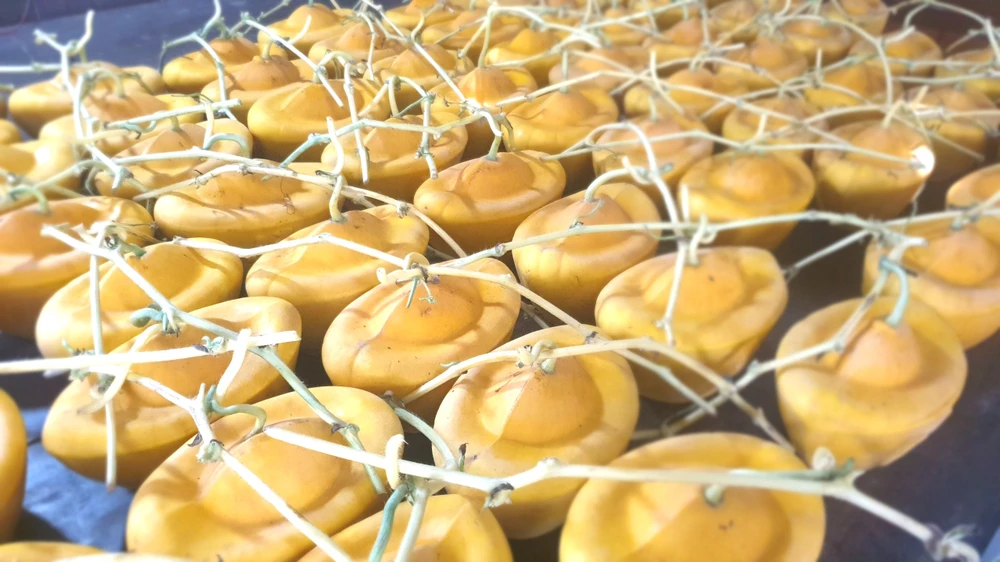 dưa hấu thỏi vàng