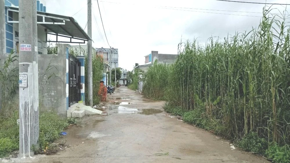 Một khu dân cư tự phát trên địa bàn quận Ninh Kiều