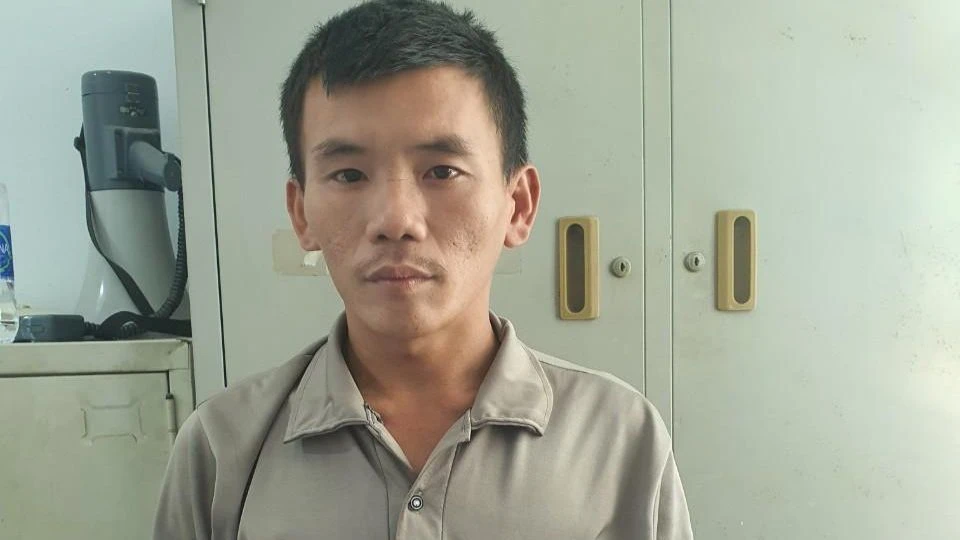 làm giấy xe giả