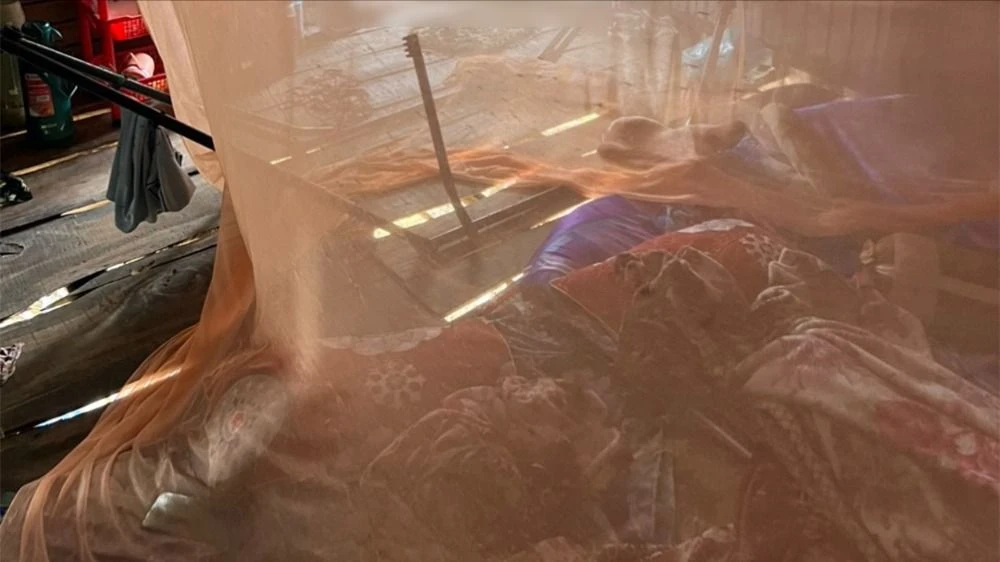 3 người trong gia đình tử vong