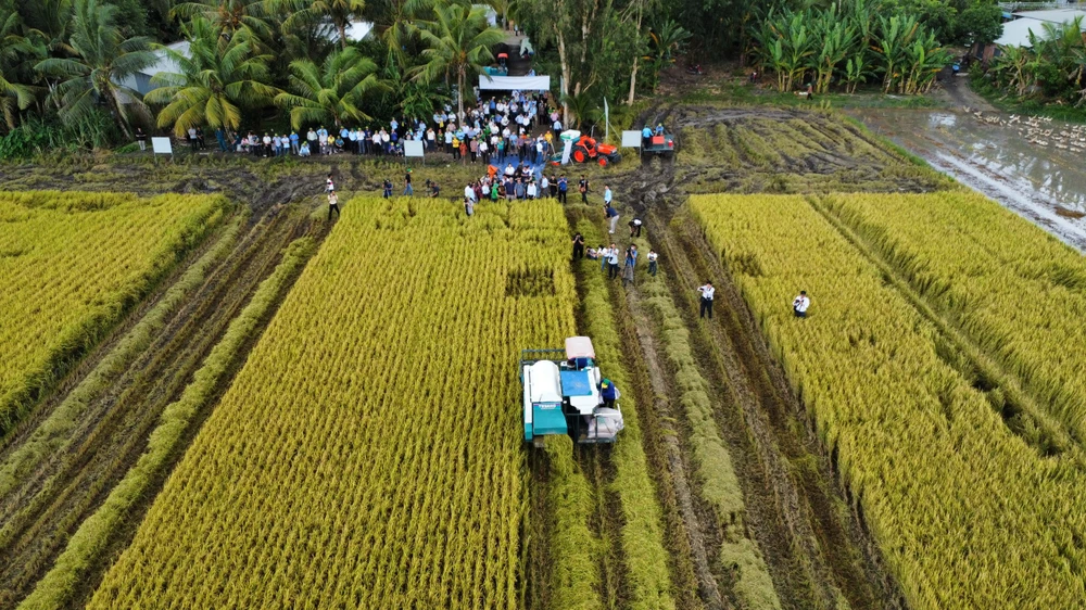 Kiến nghị sớm có luật về khu công nghiệp