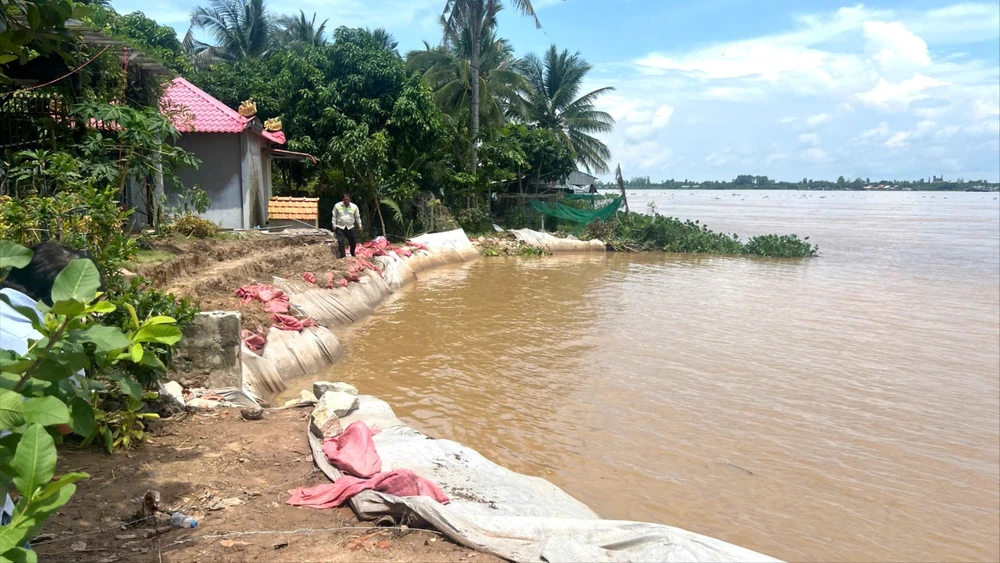 sạt lở bờ sông tiền ở đồng tháp