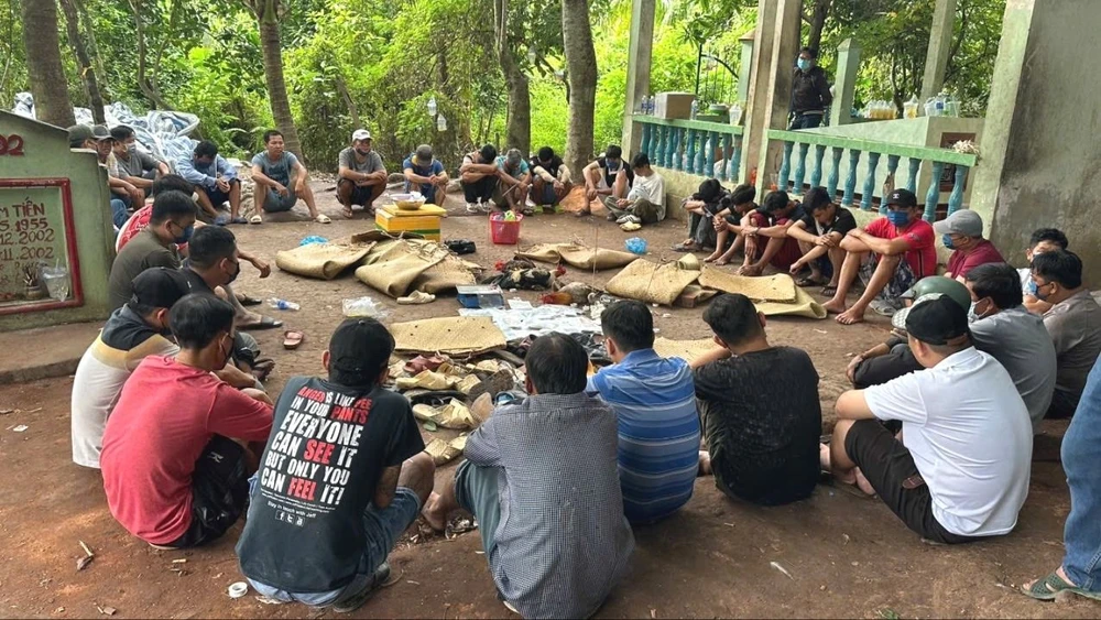 Hàng chục người đá gà ăn tiền trong khu mộ ở Vĩnh Long