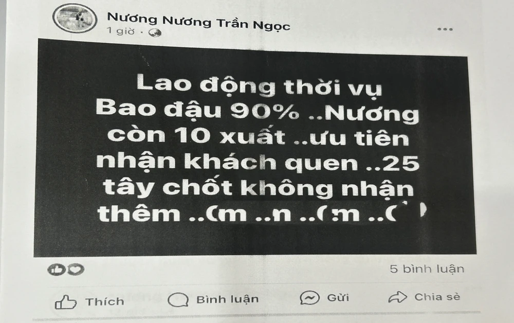 lao động thời vụ