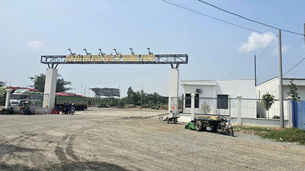 cho thuê đất sai còn trốn thuế